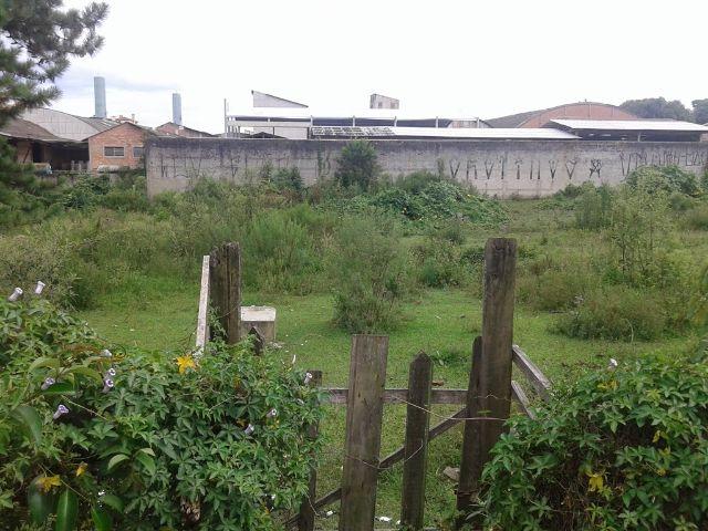 Área urbana com 04 lotes - Foto 5
