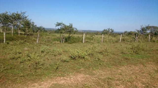 FAZENDA A VENDA EM MATO GROSSO (Dupla Aptidão)