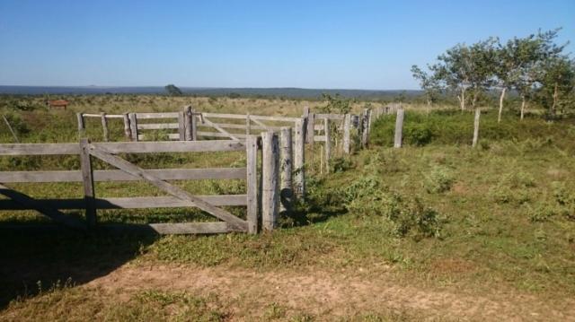 FAZENDA A VENDA EM MATO GROSSO (Dupla Aptidão) - Foto 3