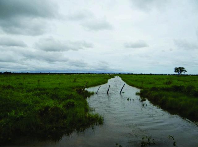 FAZENDA A VENDA EM MS. PANTANAL ALTO ( Pecuária) - Foto 11