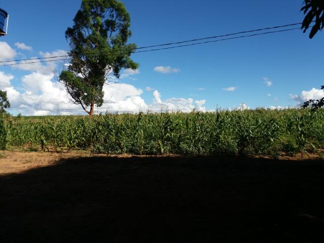 Ótima fazenda 42 Hectares dentro do DF, com água - Foto 6