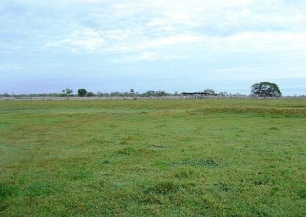 Fazenda em POCONÉ - MT, Pastagens p/ 30.000 cabeças - Foto 4