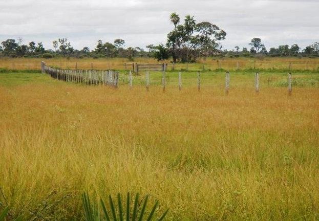 Fazenda em POCONÉ - MT, Pastagens p/ 30.000 cabeças