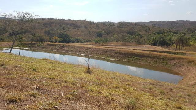 Lindíssima Fazenda de 168 Hectares - Terra Engorda Boi e Criação de Peixes - Foto 5