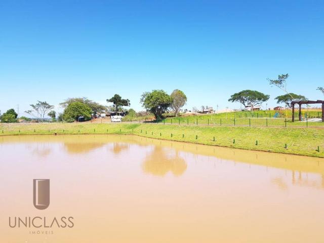 Terreno à venda em Centro, Nova santa rita cod:TE0296 - Foto 6