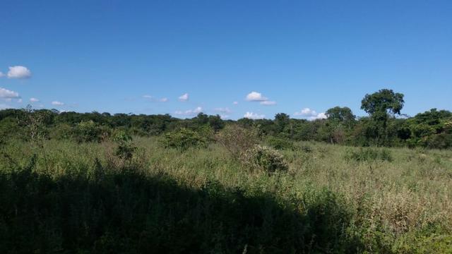 215A/Fazenda de 485 ha com outorga para irrigação às margens do Rio São Francisco - Foto 10