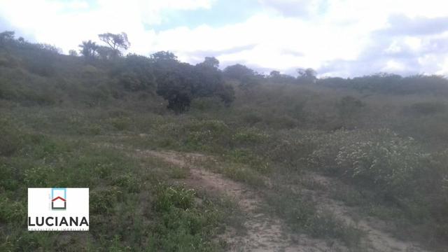 Área em Chã Grande com bastate água (Cód.: 9f2e3e) - Foto 14