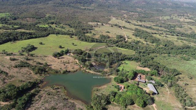 Fazenda 1.050ha região rosario oeste (cedral) - Foto 5