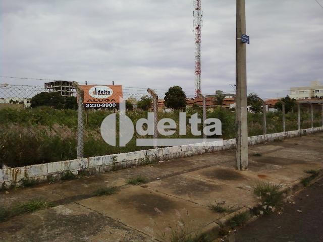 Terreno para alugar em Segismundo pereira, Uberlândia cod:221457 - Foto 3