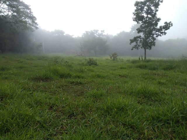 Chácara de 20 mil metros 14 km de Anápolis, com represa no fundo - Foto 20