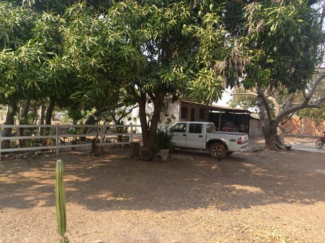 Chácara 2.5 ha, linha 16 cinturão verde - Foto 14