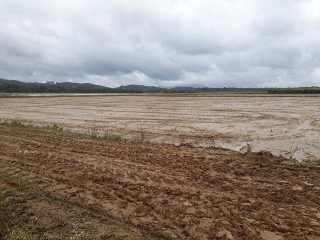 Fazenda Linda para Plantio de Arroz, Aceita parte Parcelado - Foto 15