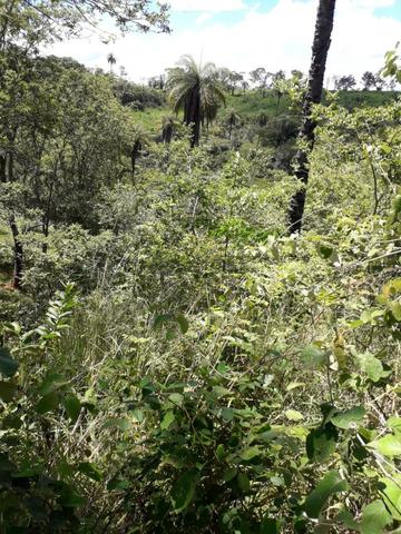 Chácara Taquaraçu de Minas *Ótima localização* - Foto 11