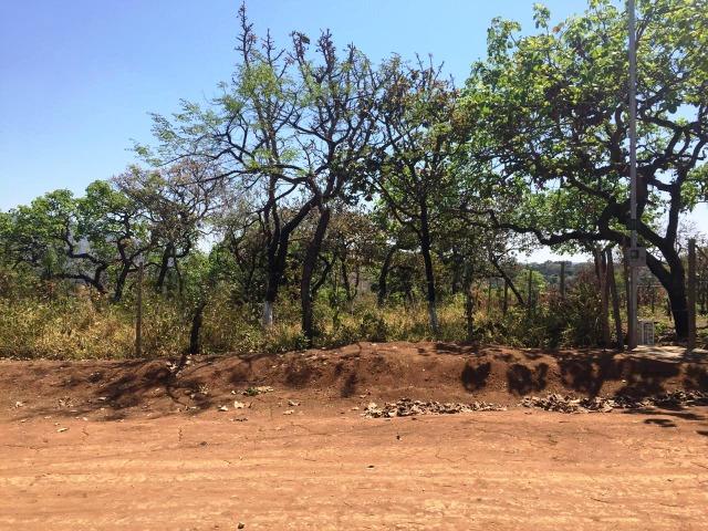 Apenas R$ 500 reais por mês - Lote 360 m² Plano Água e Luz - Foto 2