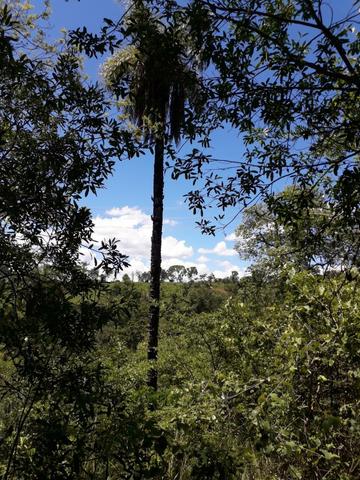Chácara Taquaraçu de Minas *Ótima localização* - Foto 12