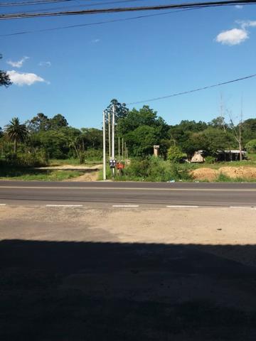 Área com 30, 60, 80 metro de frente para o asfalto entra três meninas e Gedeon leite - Foto 4