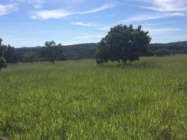 100 Alq. Planta 20 Vermelha Formada Montada Represa na Porta Iporá GO