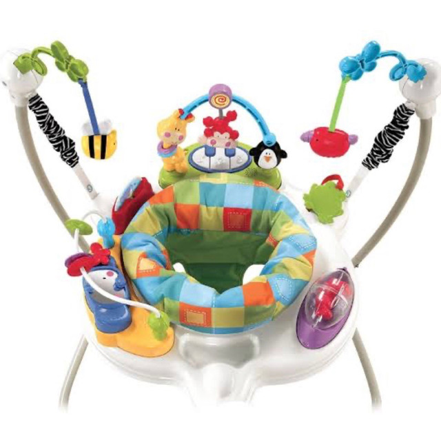 jumperoo fisher price zoo