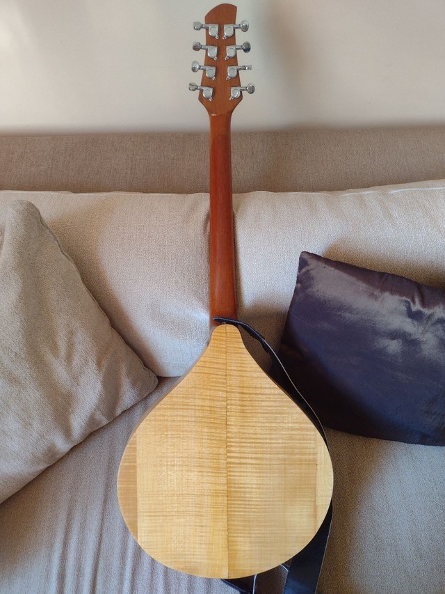Bouzouki irlandês elétrico (de Luthier, com case, todo maciço ) - Foto 4