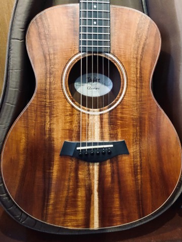 Taylor GS mini E- Koa - Tampo raro e lindíssimo