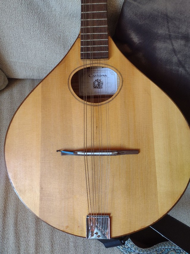 Bouzouki irlandês elétrico (de Luthier, com case, todo maciço ) - Foto 2