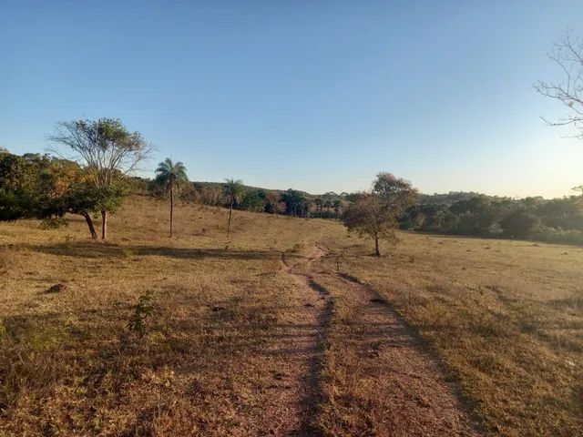 Fazenda 96 alq em Goianesia-GO - Foto 5