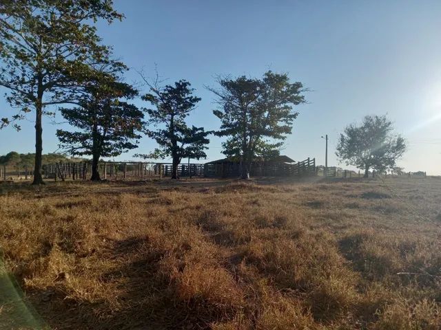 Fazenda 96 alq em Goianesia-GO - Foto 3