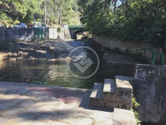 Terreno em mata virgem com 6439m² no Alto. codigo: 76402 - Foto 4