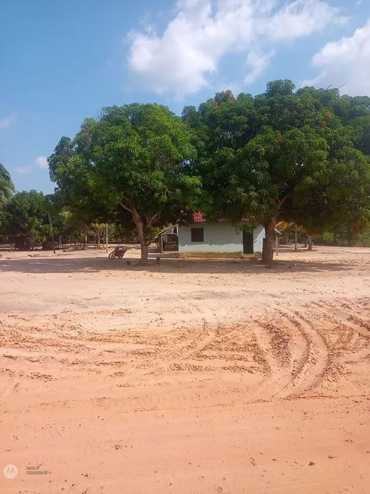 Moura Gestor Imobiliário Vende uma excelente área com 98ha na Rodovia BR 163, km 119, Mo - Foto 4