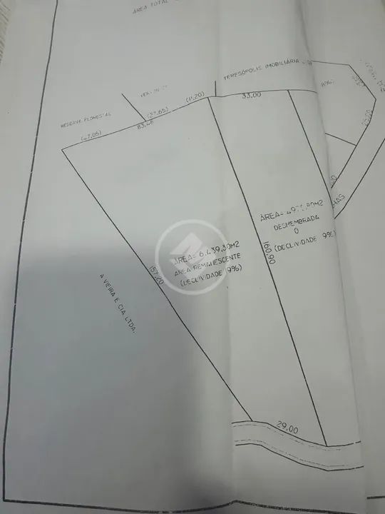 Terreno em mata virgem com 6439m² no Alto. codigo: 76402 - Foto 3