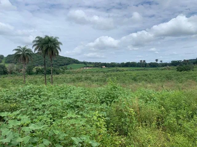 Fazenda 3ha, com 3km de beira de rio, nascente no terreno, terra de cultivo, Lagoa Santa. - Foto 3