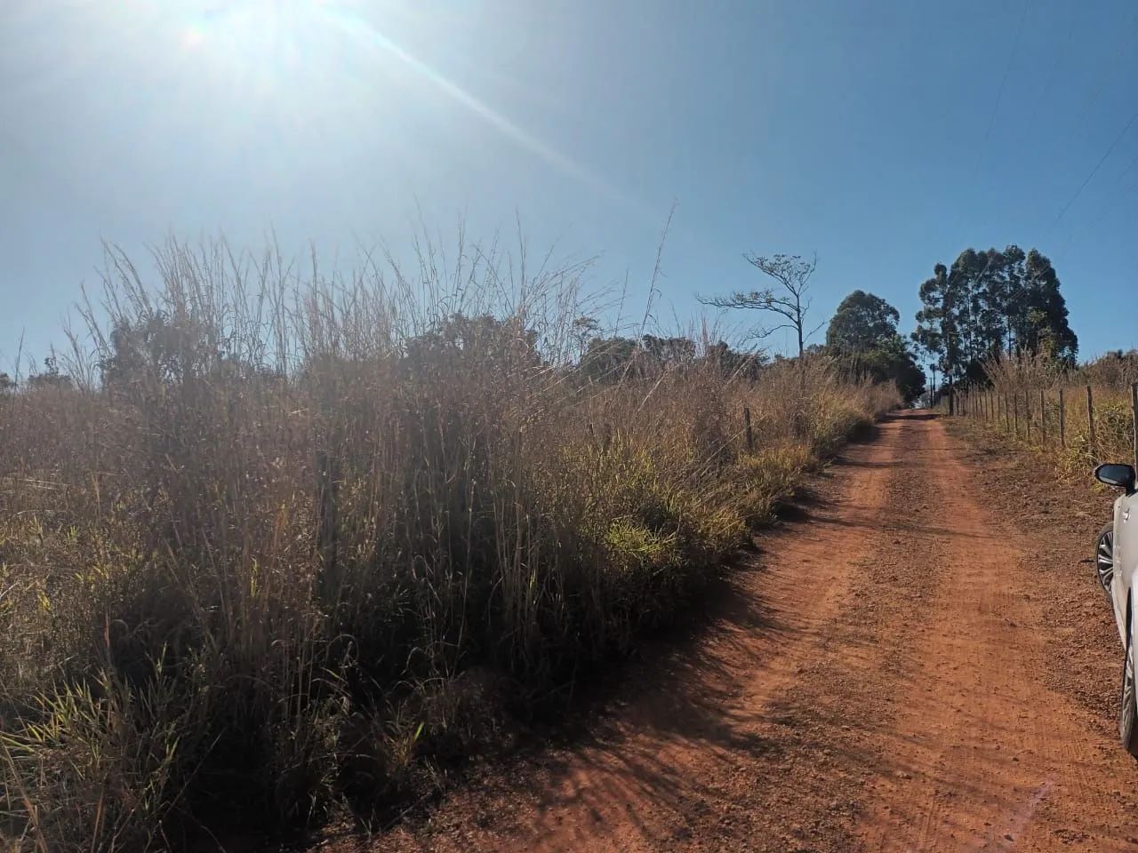 Linda chácara na DF 495 <br>a 500 mts do Ribeiro saia velha - Foto 5