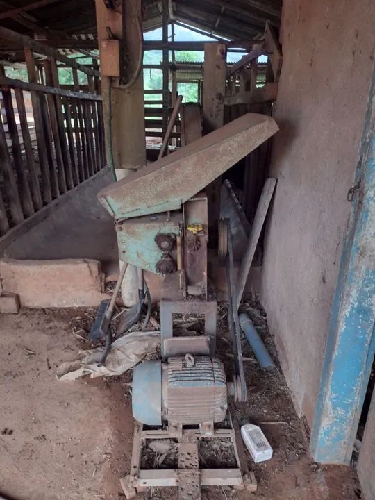 Ensiladeira - Foto 3