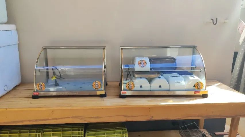 Duas Estufas com bandeijas 