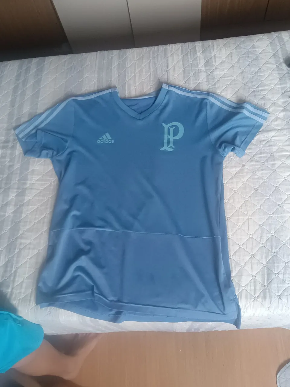 Camisa de treino do palmeiras de 2019 original