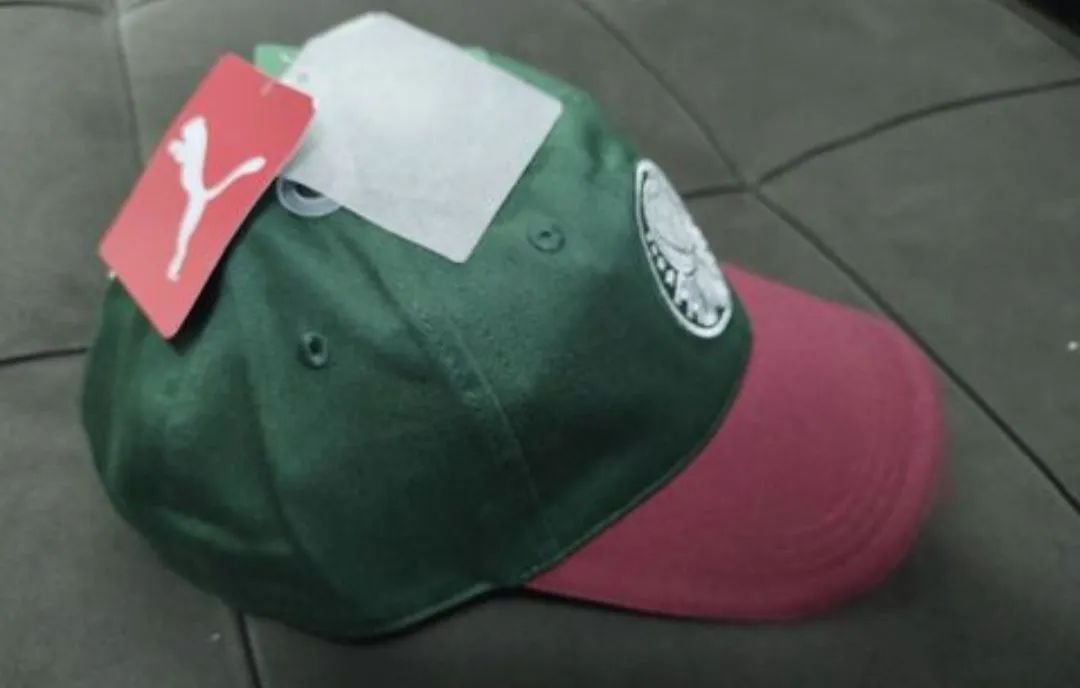 Boné Palmeiras Puma Oficial - Novo