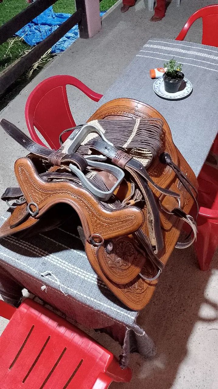 Vendo Cela de cavalo com nota fiscal e apenas 2 vezes de uso  - Foto 2