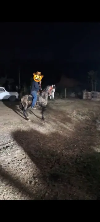 Vendo cavalo mangalarga - bem tratado e dócil 