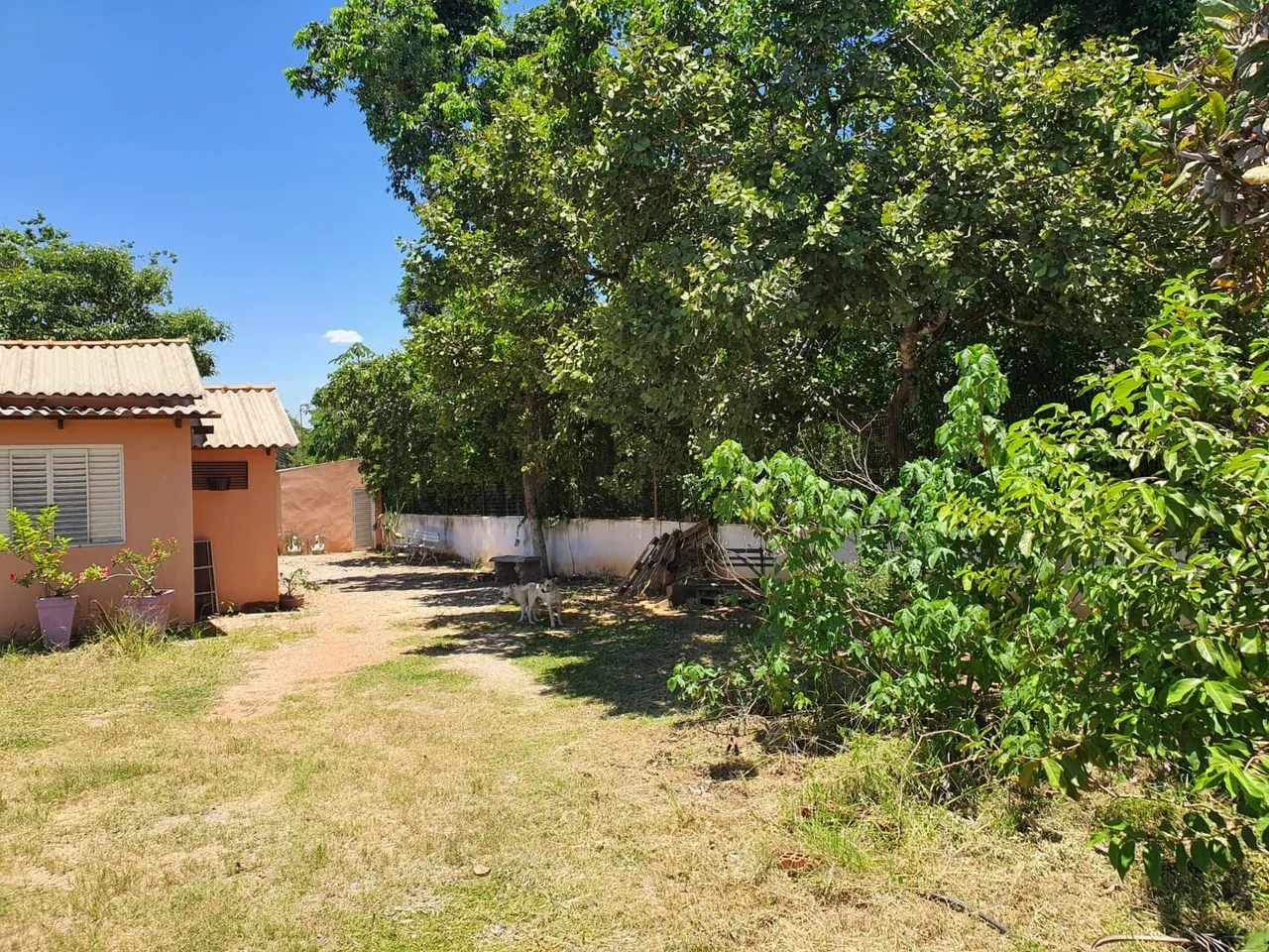 oportunidade única, Sítio bem localizado próximo hospital Júlio Muller estrada de santo.
