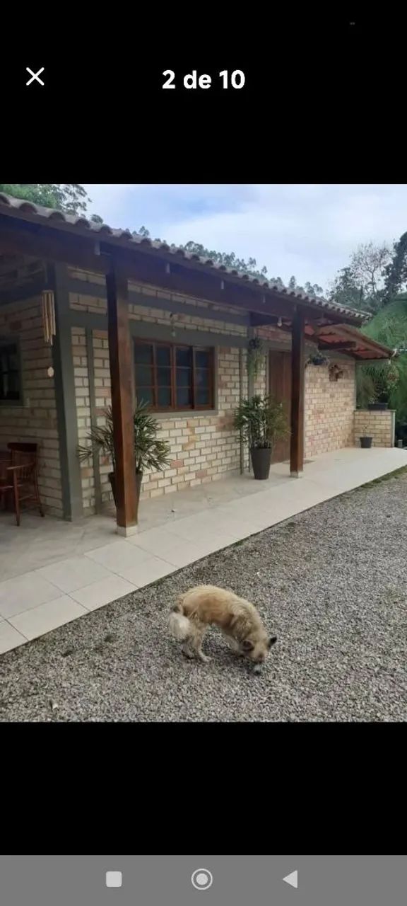 Vendo lindo sítio  - Foto 2