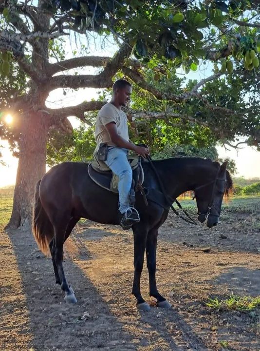 POTRO MANGALAGA  TRÊS ANOS 