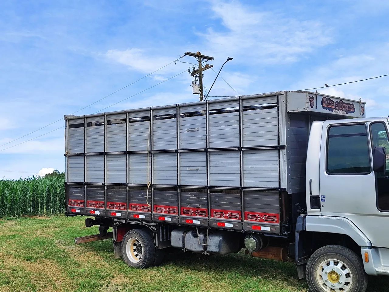 Carroceria Boiadeiro  - Foto 2