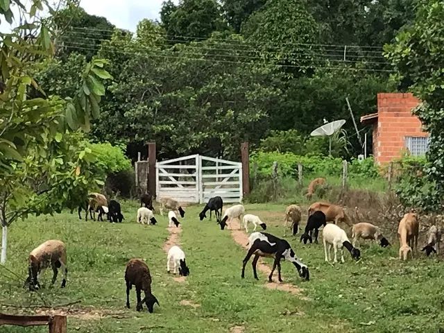 VENDE-SE CHÁCARA EM SUMAUMA/MA