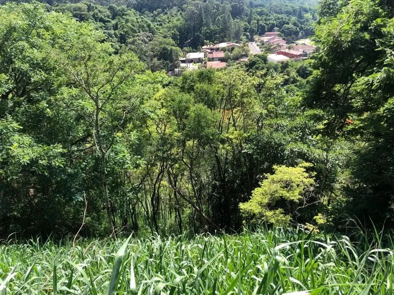 Terreno à venda com 1.126,00 m² no Colinas do Ermitage (Sousas), Campinas - Foto 8