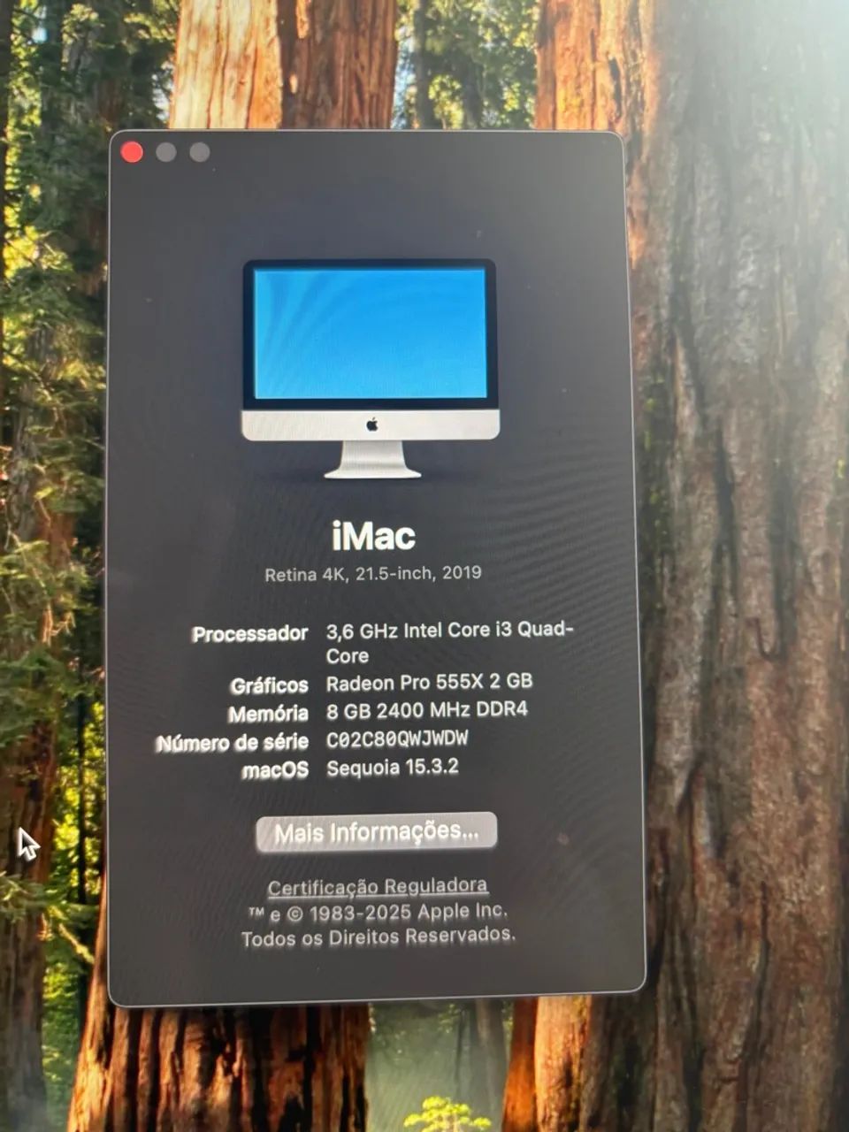 iMac Retina 4K 21.5 - 2019 - Ótimo estado