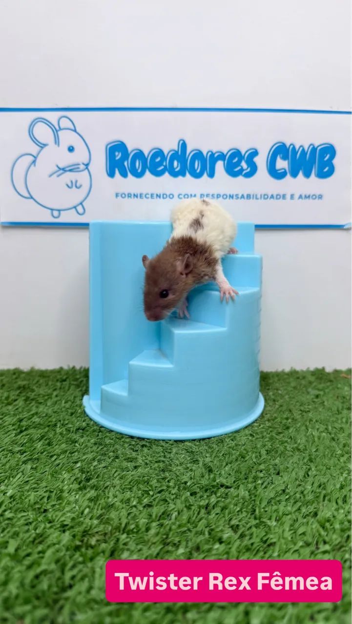 Ratos Twister/Mercol