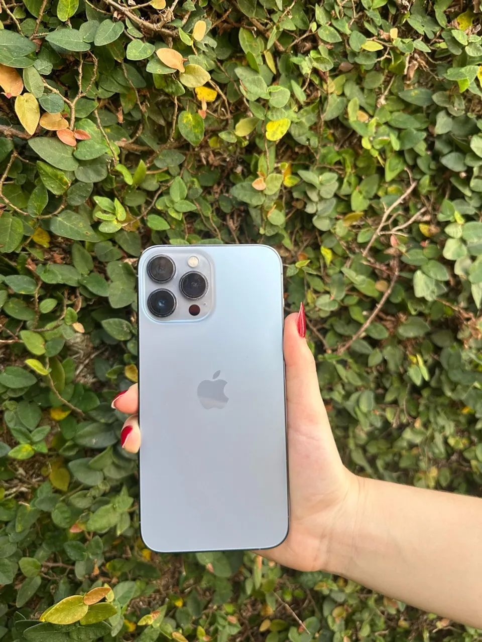 Celular IPhone 13 Pro Max 128GB 256GB seminovo vitrine 100
