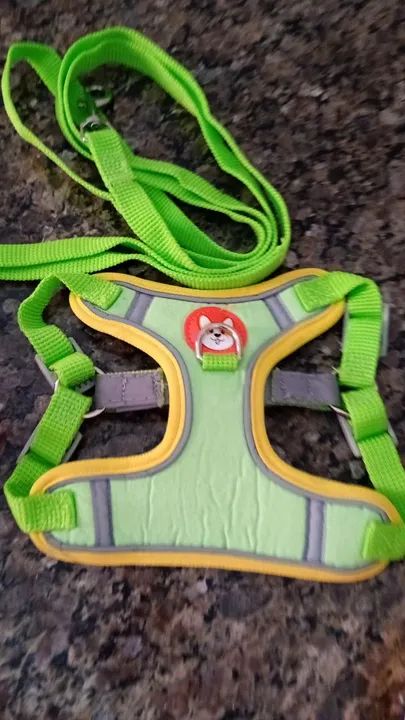 Vendo um Bebedouro um comedouro duas coleiras para pinscher e gatos P e M - Foto 2