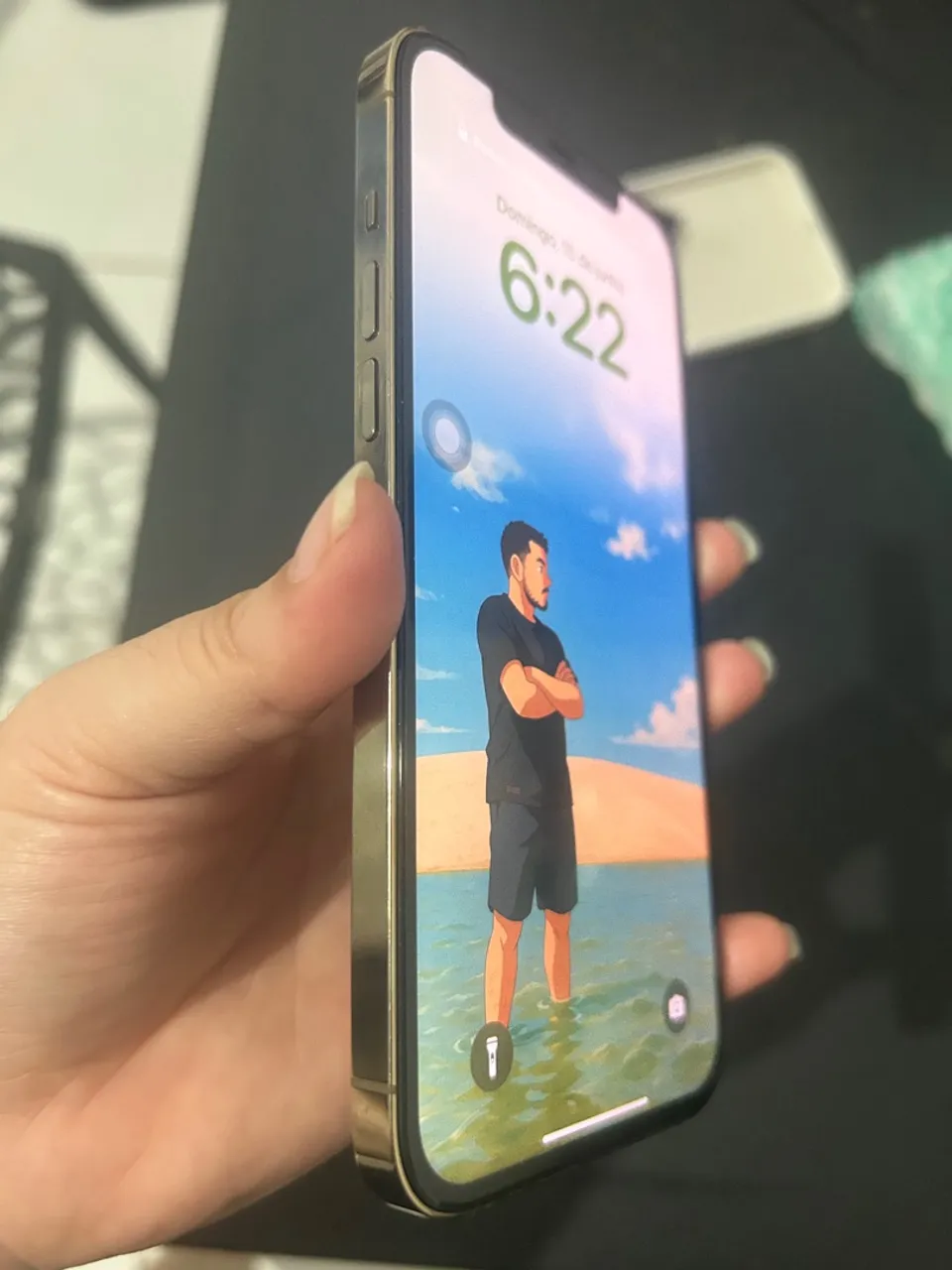 Vendo 12 pro Max