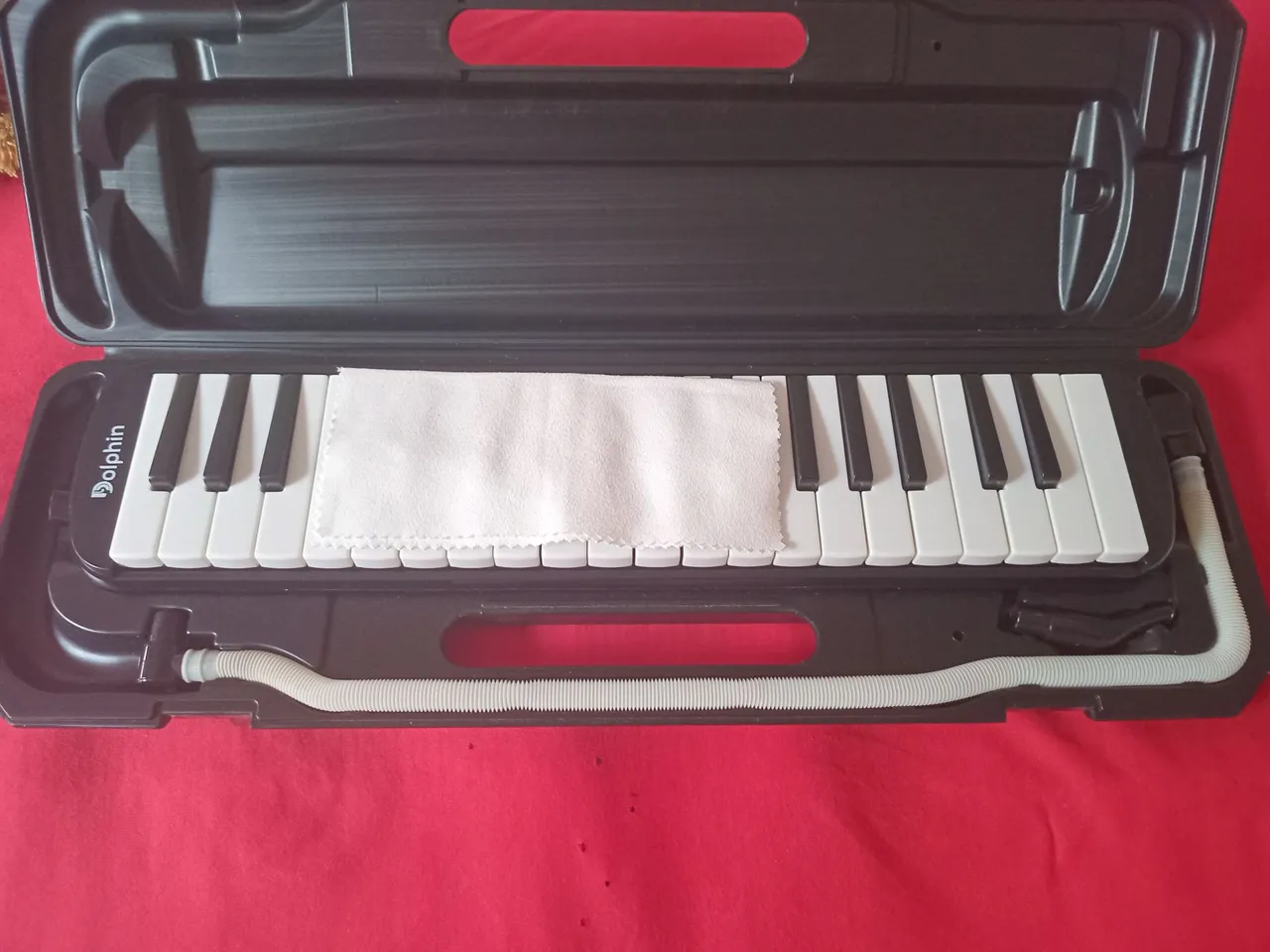 Escaleta Dolphin 37 Teclas Com Case